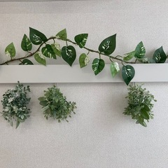 植物のオーナメント