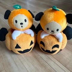 パンプキンミュオン