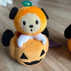 パンプキンミュオンの画像