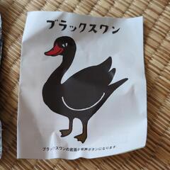 ブラックスワンの画像