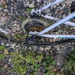 自転車の画像