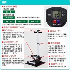 アルインコ(ALINCO) ハンドル付ステッパー FA4016 保護マット付
の画像