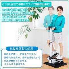 アルインコ(ALINCO) ハンドル付ステッパー FA4016 保護マット付
の画像