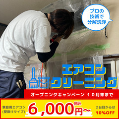 最安値！【6000円】プロによるエアコンクリーニング！⁂日曜日・...