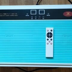 スリミング振動ステッパーSSMT-1152 ミントグリーン