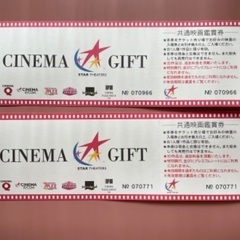 スターシアターズ　映画チケット2枚