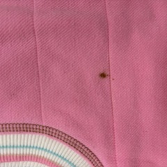 メゾピアノ  ベスト　90cmの画像