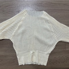 新品未使用　アイボリー シャツ　クロップド 長袖　透け感　シアーの画像