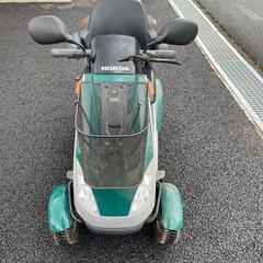 電動カート