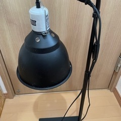 ライトスタンド、ドームセット