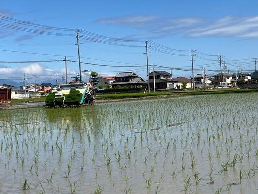 令和6年産　
コシヒカリ玄米30kg　③