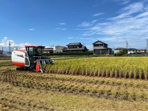 令和6年産　
コシヒカリ玄米30kg　③