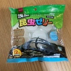 昆虫ゼリー