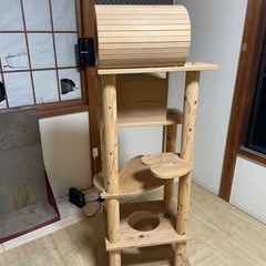 キャットタワー 木製の画像