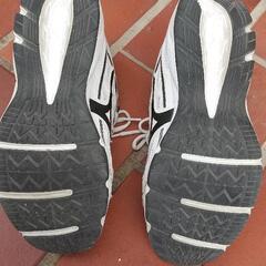 運動靴(ミズノ)の画像