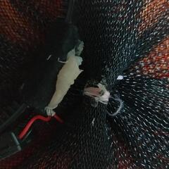 パーティー用 カチューシャ 電飾の画像