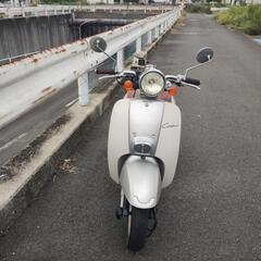 ジョルノaf54の画像