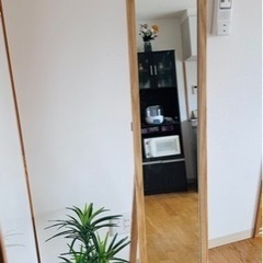 ミラー　(mirror)の画像