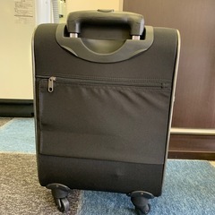 キャリー
バックの画像