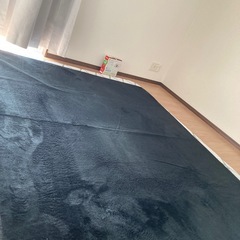 カーペット(薄手)の画像