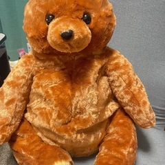 ぽっちゃりくまちゃん🐻
