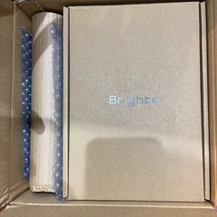 エレキブラシ　美顔器