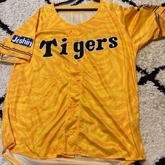 スポーツ 野球
