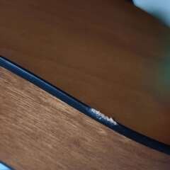 【取引決定】ヤマハ YAMAHA GL-1　ギタレレ　ギター　の画像