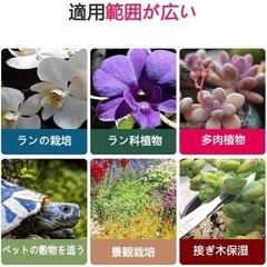 水苔の画像