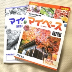 マイペース　中学生　高校入試対策教材　5教科の画像
