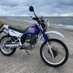 試乗できます　DJEBEL２００　DR200　型式SH42Aの画像