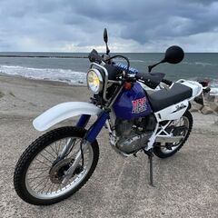 試乗できます　DJEBEL２００　DR200　型式SH42Aの画像