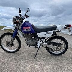 試乗できます　DJEBEL２００　DR200　型式SH42Aの画像