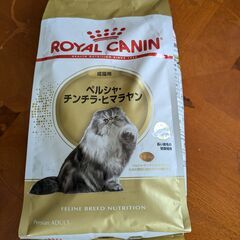 ロイヤルカナン　成猫用12歳まで　ペルシャ・チンチラ・ヒマラヤン　2㎏