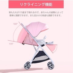 【新品未使用】 背面ベビーカー 0~36ヶ月の画像