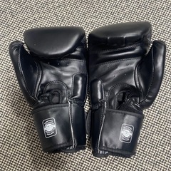 twins ボクシンググローブ　　の画像