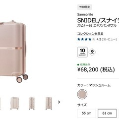 サムソナイトsnidelスーツケースの画像