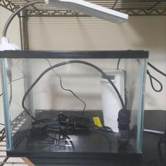 30cm水槽セット①