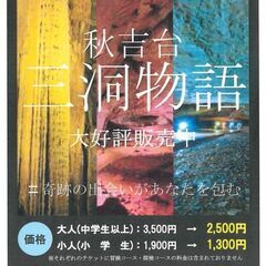 三洞周遊共通チケット