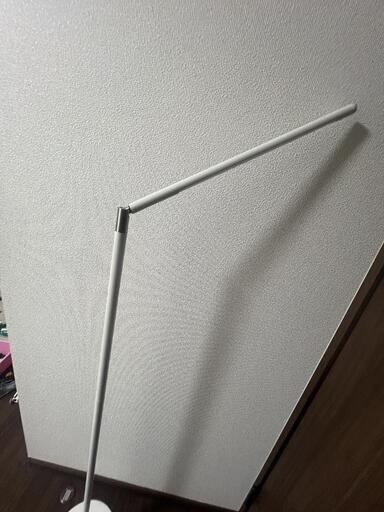 スタンドライト