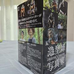フィギュア　ONE PIECE レイリーの画像