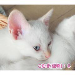 お迎えありがとうございました🍁