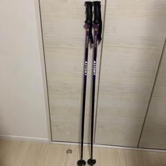 スキーストック