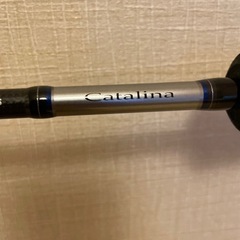 ダイワ キャタリナ ジギングヒラマサ　jh60s.nの画像