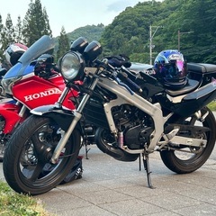 SUZUKI WOLF125(nf13a)   