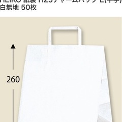紙袋　H25チャームバックE 白（平手）
