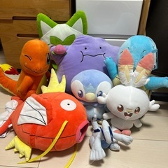 ポケモンぬいぐるみ