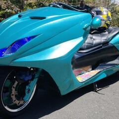 大幅値下げ！マグザム250カスタム車両の画像