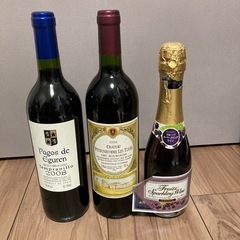 果実酒　酒　パゴス・デ・エグーレン　シャトー　ペボノム　レ　トゥ...