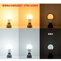 コントロール　LED電球の画像